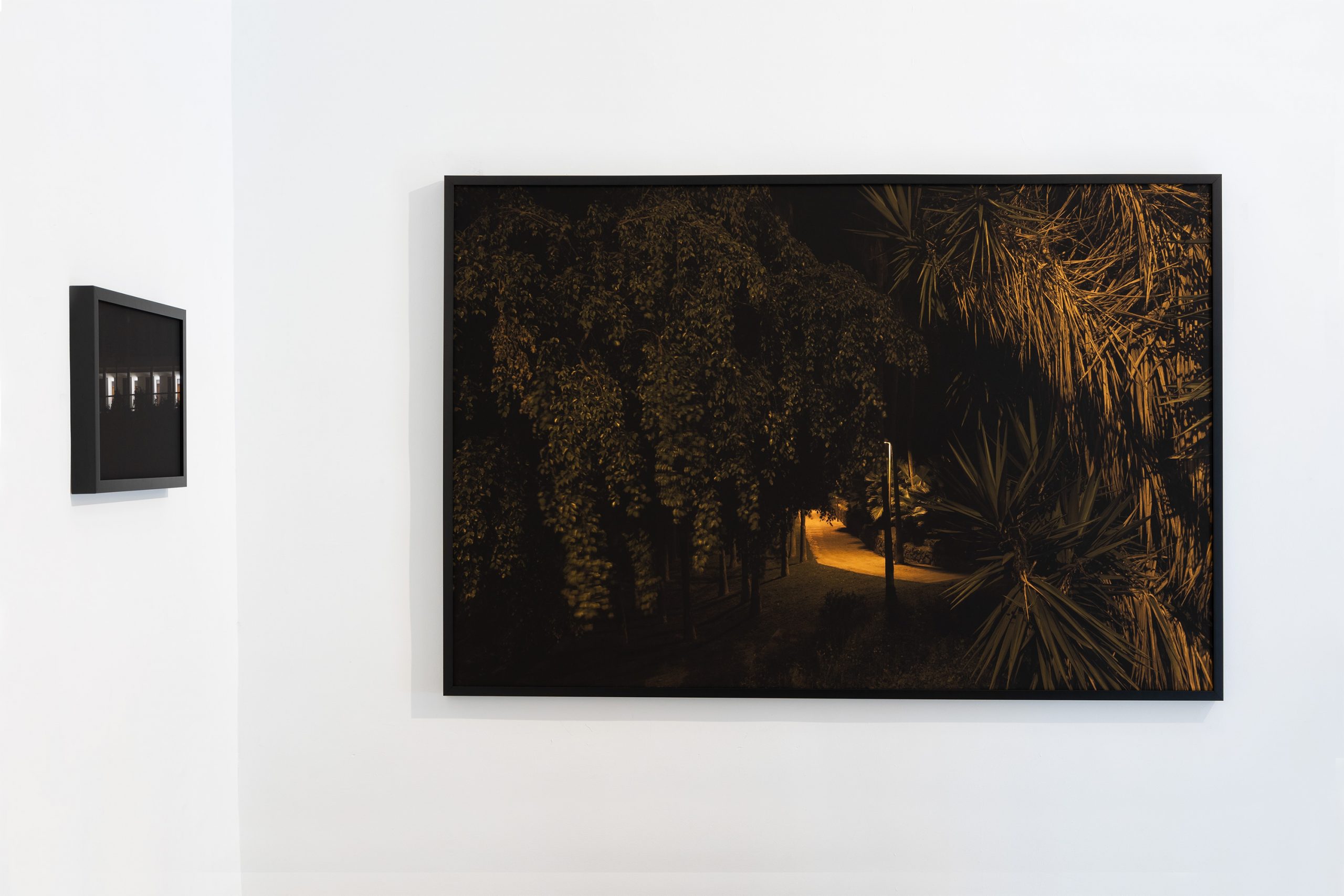 NuevoMundo_lapanera_2b