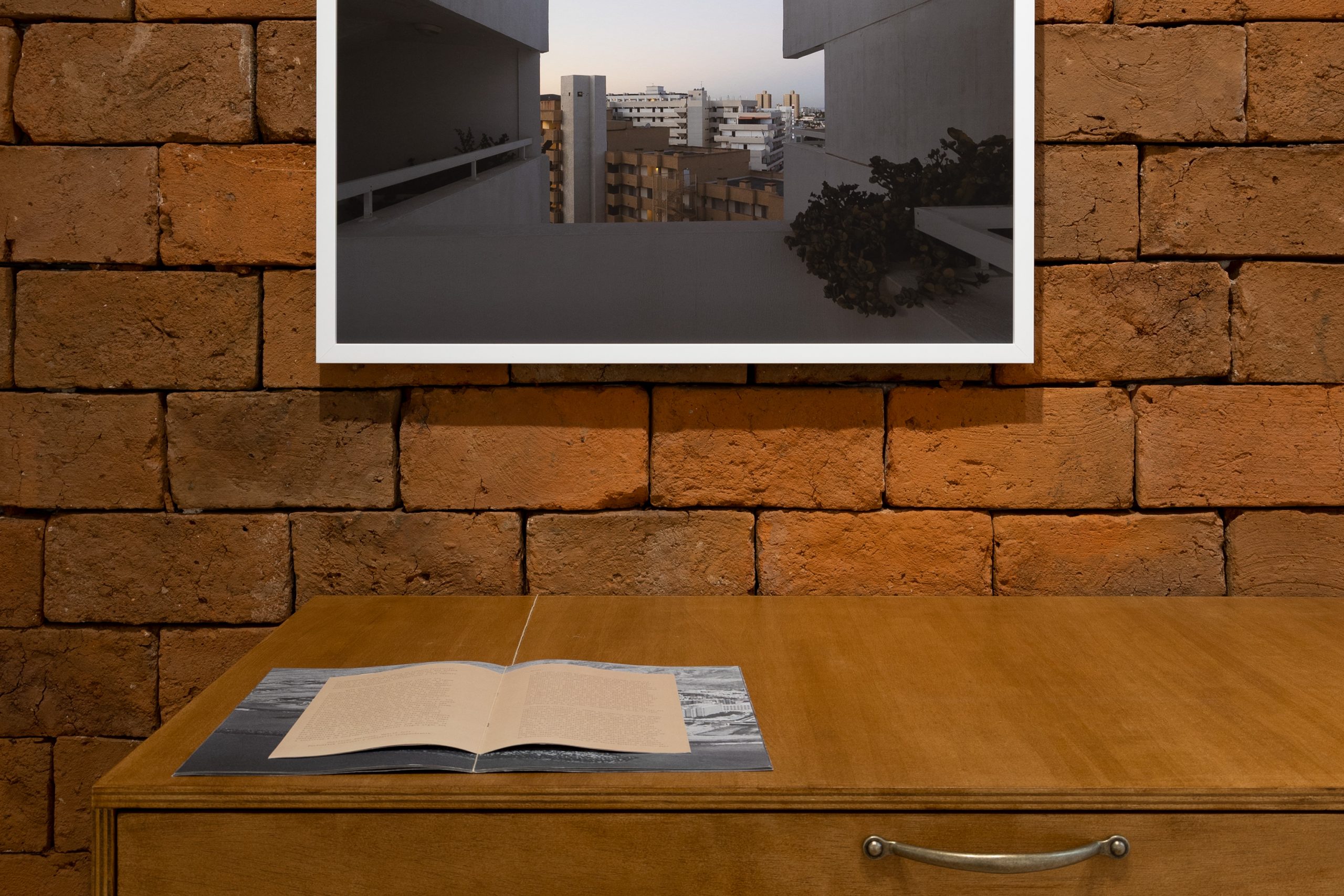 NuevoMundo_lapanera_8